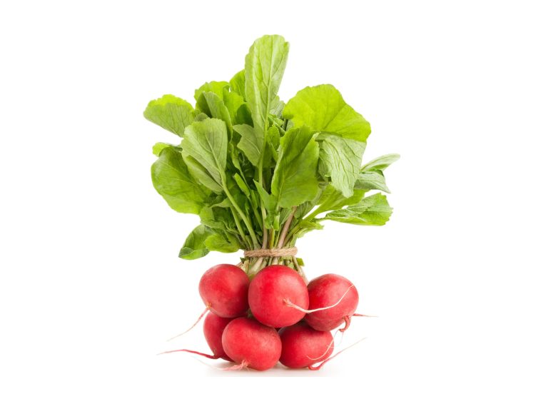 Red Radish 1 pack