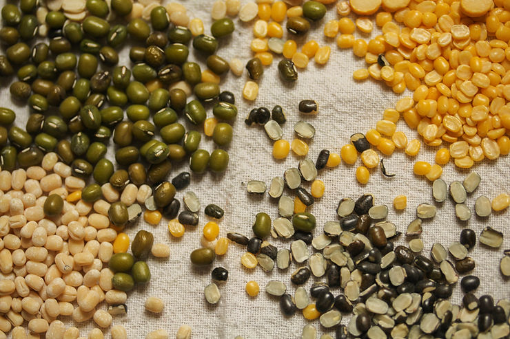 Wholesale Dhal & Premium Pulses